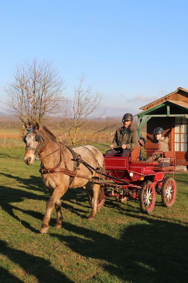 Ferme Equestre Les Chevaliers Hotel Penol Eksteriør billede